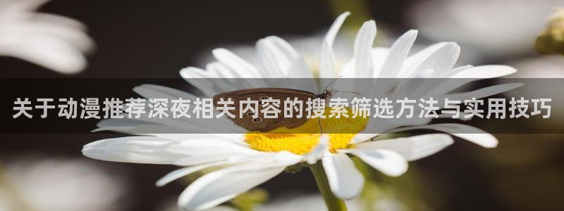挖掘机的动画片
