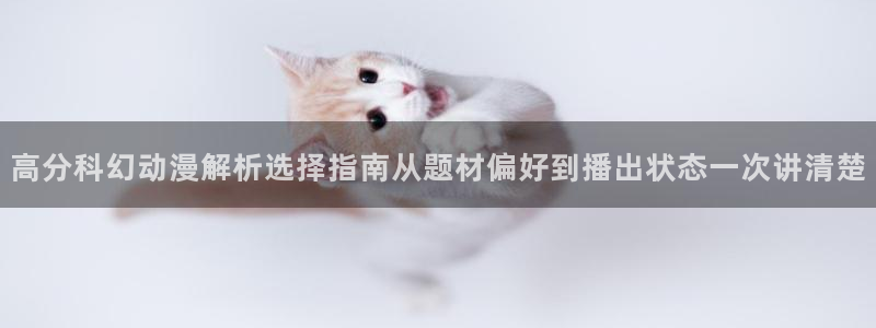 漫蛙动画