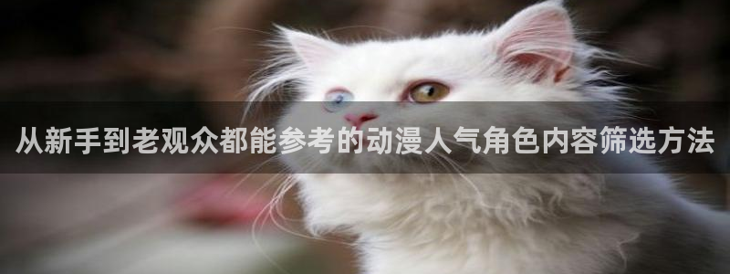 动漫之家社区版最新:从新手到老观众都能参考的动漫人气角色内容筛选方法