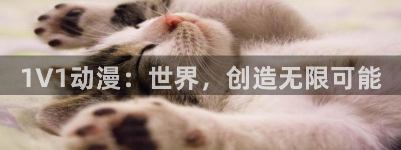 动漫之岛