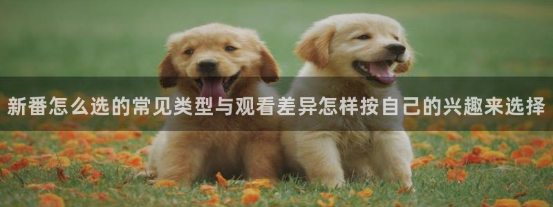 免费动漫网站推荐高质量