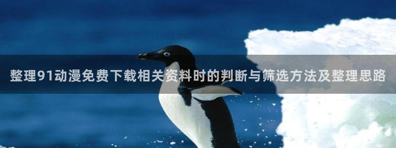 好看的动漫推荐国漫:整理91动漫免费下载相关资料时的判断与筛选方法及整理思路