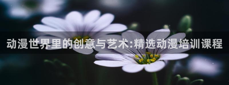 治愈动漫：动漫世界里的创意与艺术:精选动漫培训课程