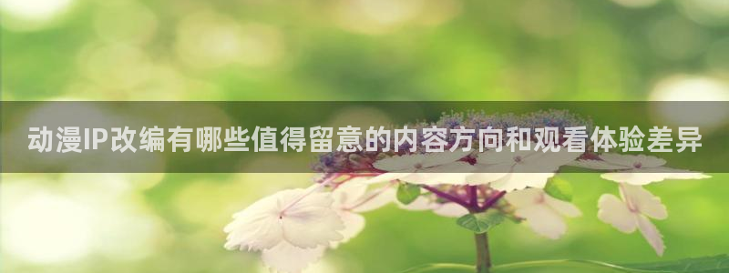 免费观看动漫的网站：动漫IP改编有哪些值得留意的内容方向和观看体验差异