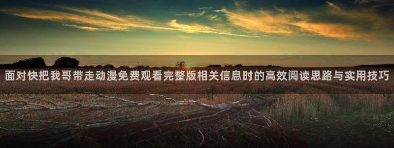 动漫之家(网页入口)：面对快把我哥带走动漫免费观看完整版相关信息时的高效阅读思路与实用技巧